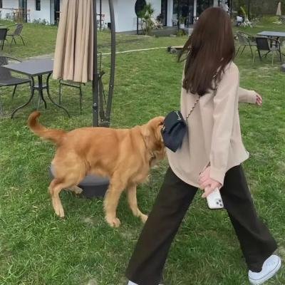 背信